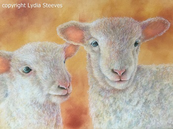 Sweet Little Lambs  Lydia Steeves Recorded Video